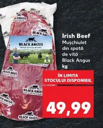 Kaufland Irish Beef Ofertă