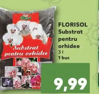 Kaufland FLORISOL Substrat pentru orhidee Ofertă