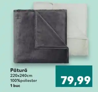 Kaufland Pătură Ofertă