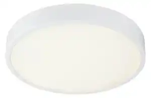 Globo 12364-30 - LED Lampă dimmabilă baie LED/28W/230V IP44