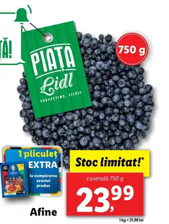 Lidl Afine Ofertă