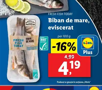 Lidl FRESH FISH TODAY Biban de mare, eviscerat Ofertă