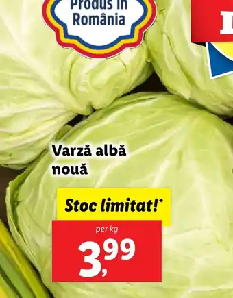 Lidl Varză albă nouǎ Ofertă