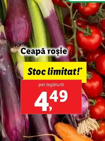 Lidl Ceapă roşie Ofertă