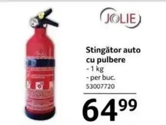 Selgros Stingător auto cu pulbere Ofertă