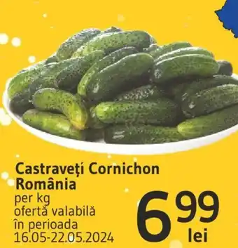 Supeco Castraveţi Cornichon România Ofertă