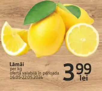Lămâi