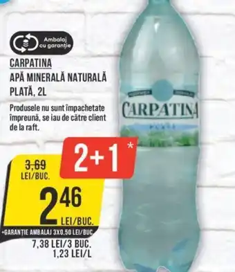 Mega Image CARPATINA APĂ MINERALĂ NATURALĂ PLATĂ, 2L Ofertă