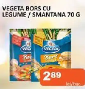 Unicarm VEGETA BORS CU LEGUME/SMANTANA 70 G Ofertă