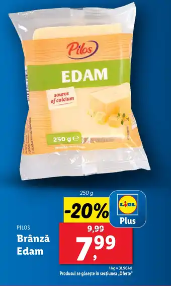 Lidl PILOS Brânză Edam Ofertă