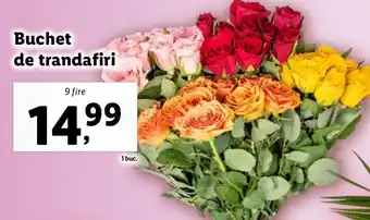 Lidl Buchet de trandafiri Ofertă