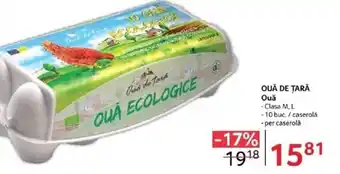 Selgros OUĂ DE ȚARĂ Ouǎ Ofertă