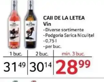 Selgros CAII DE LA LETEA Vin Ofertă