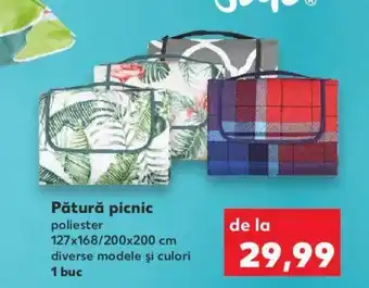 Pătură picnic