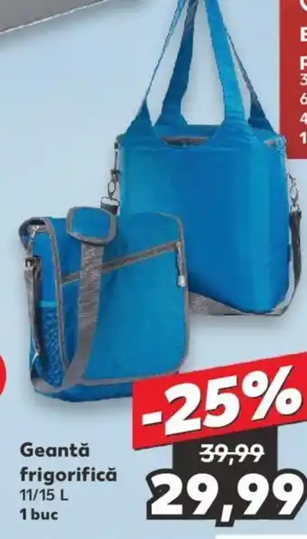 Kaufland Geantă frigorifică Ofertă