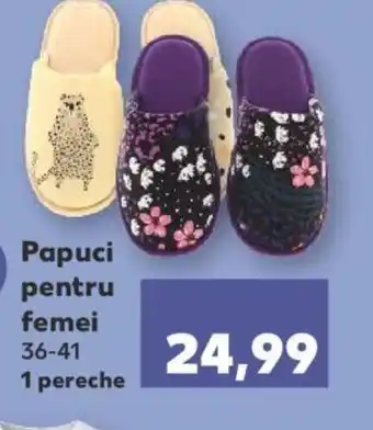 Papuci pentru femei