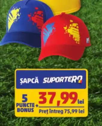 Penny SAPCĂ Ofertă