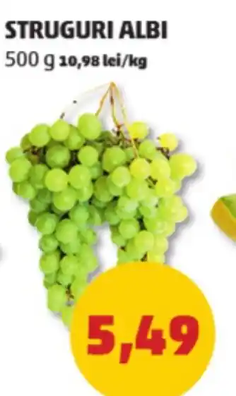 Penny STRUGURI ALBI Ofertă