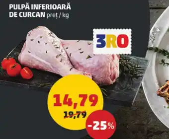 Penny PULPĂ INFERIOARĂ DE CURCAN Ofertă