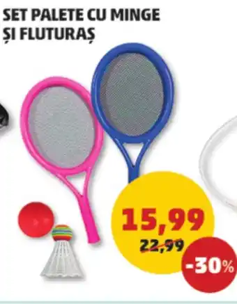 Penny SET PALETE CU MINGE ȘI FLUTURAS Ofertă