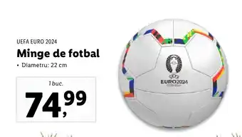 UEFA EURO 2024 Minge de fotbal