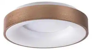 Rabalux 5052 - Plafonieră LED CARMELA LED/30W/230V