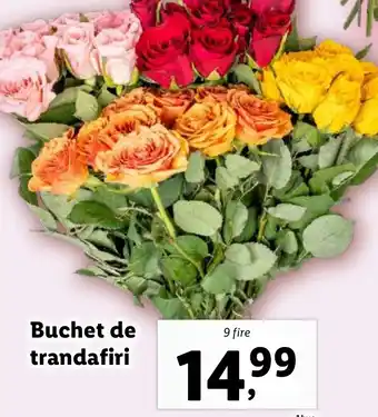 Lidl Buchet de trandafiri Ofertă