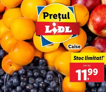 Lidl Caise Ofertă