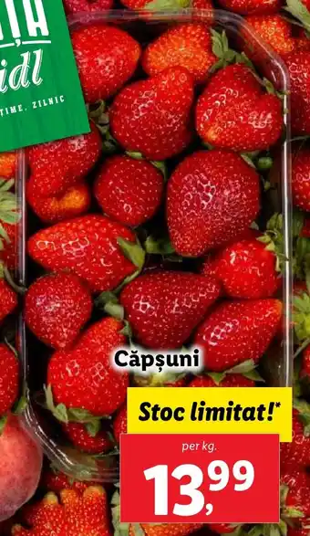 Lidl Căpşuni Ofertă