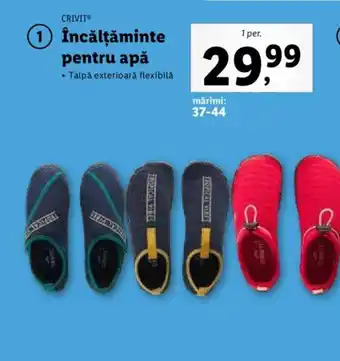 Lidl Încălțăminte pentru apă Ofertă