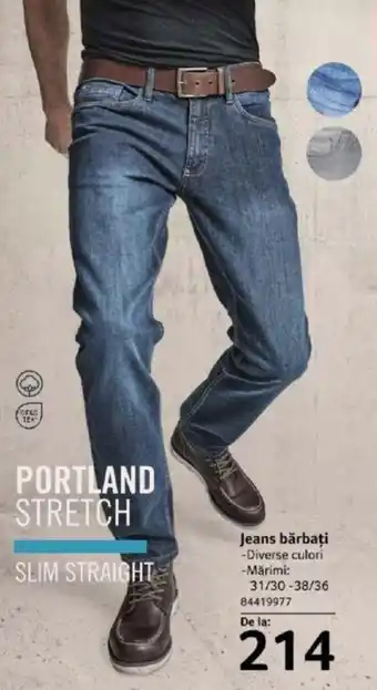 Selgros Jeans bărbați Ofertă