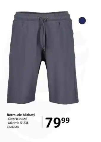 Selgros Bermude bărbați Ofertă