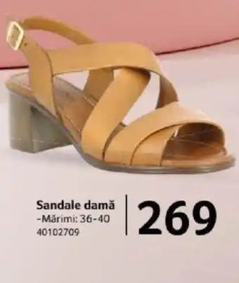 Selgros Sandale damă Ofertă