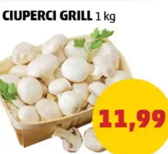 Penny CIUPERCI GRILL Ofertă