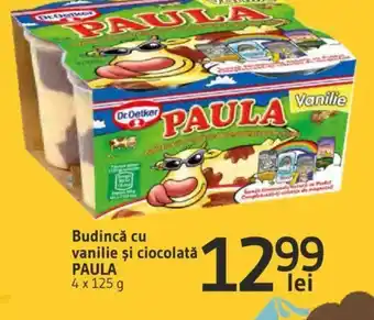 Supeco Budincǎ cu vanilie și ciocolată PAULA Ofertă