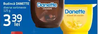 Budincǎ DANETTE