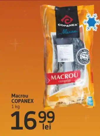 Supeco Macrou COPANEX Ofertă