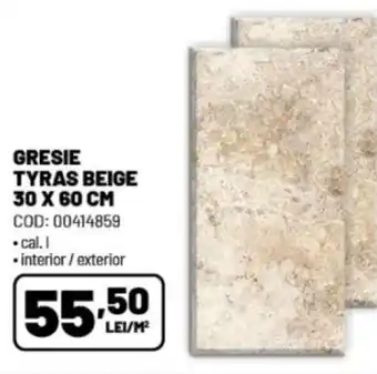 Ambient GRESIE TYRAS BEIGE 30 X 60 CM Ofertă