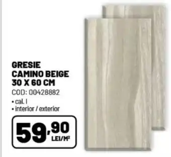 GRESIE CAMINO BEIGE 30 X 60 CM