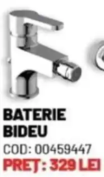 Ambient BATERIE BIDEU Ofertă