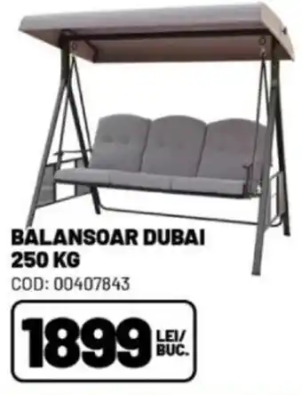 Ambient BALANSOAR DUBAI 250 KG Ofertă