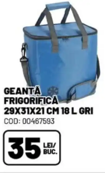 GEANTA FRIGORIFICA 29X31X21 CM 18 L GRI