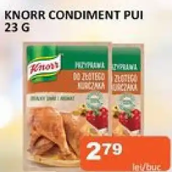 Unicarm KNORR CONDIMENT PUI 23 G Ofertă