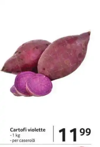 Selgros Cartofi violette Ofertă