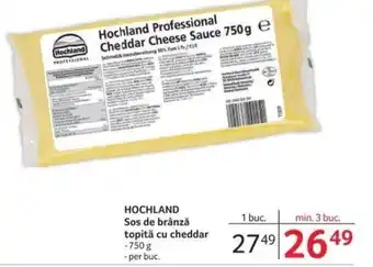 Selgros HOCHLAND Sos de brânză topită cu cheddar Ofertă