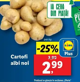 Lidl Cartofi albi noi Ofertă