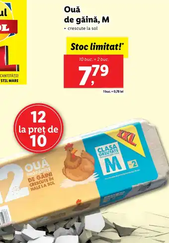 Lidl Oua de găină, M Ofertă