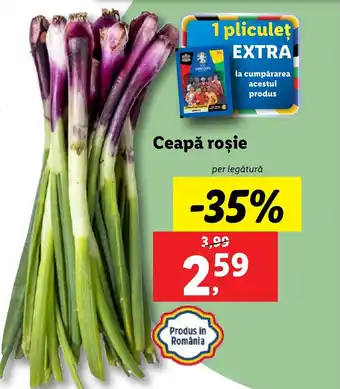 Lidl Ceapă roşie Ofertă