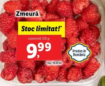 Zmeură