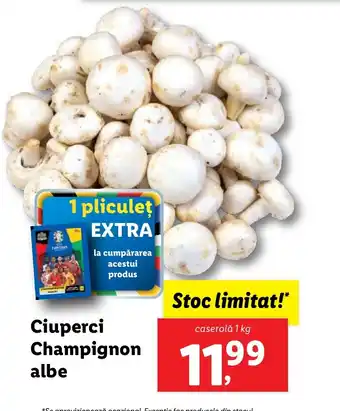Lidl Ciuperci Champignon albe Ofertă